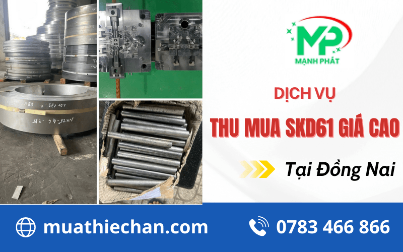 Thu mua SKD61